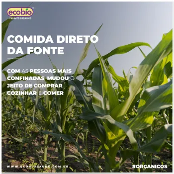 Comida direto da fonte